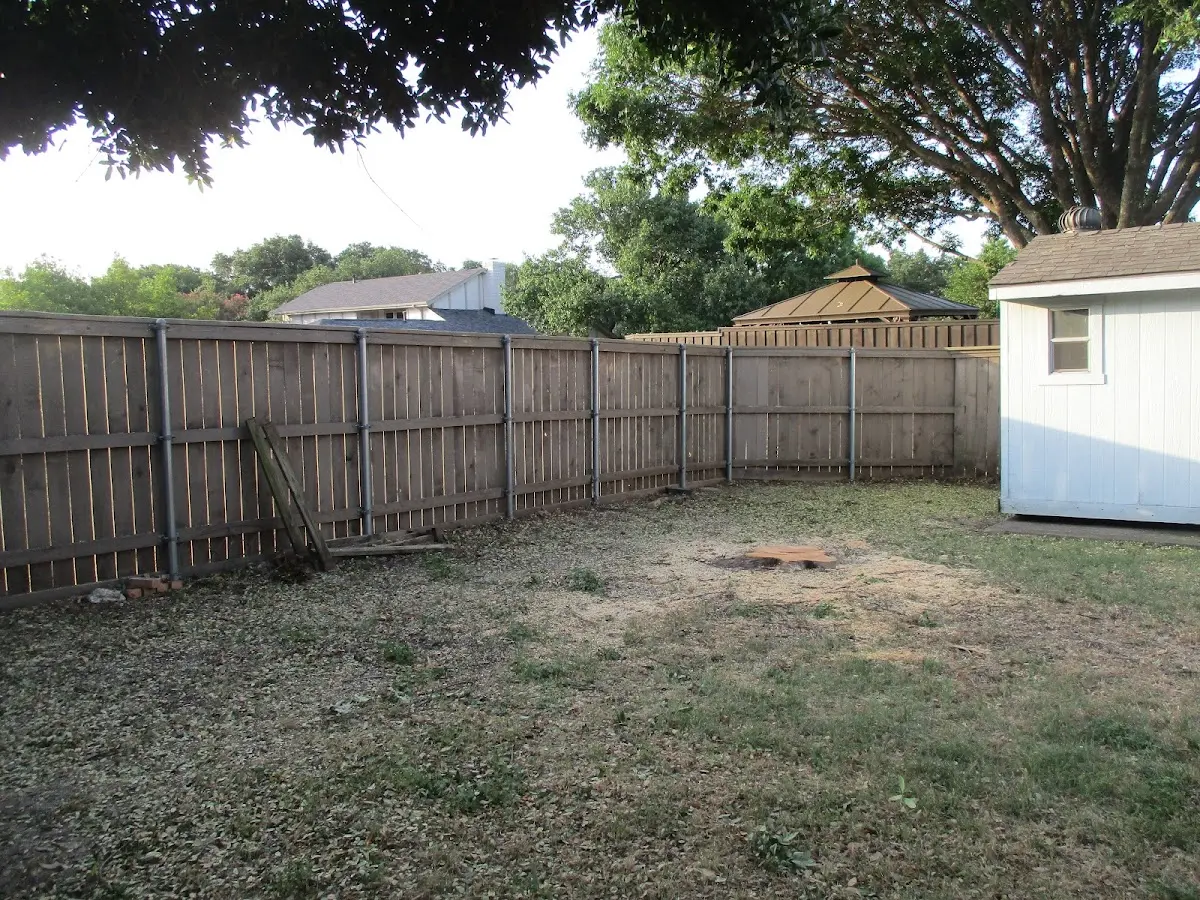 Cleared yard after professional tree removal in Sutton